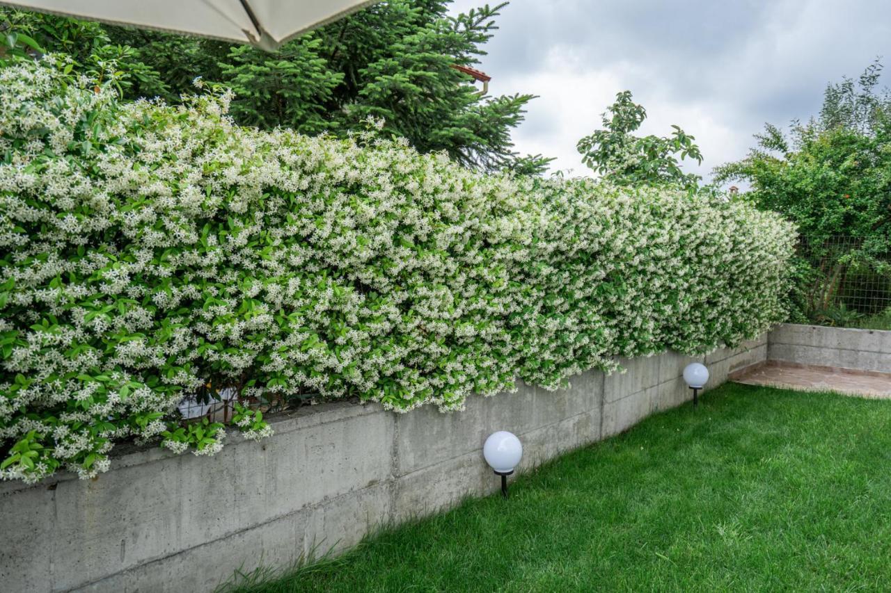 Veria Panorama Luxury Suite With Garden 2 Buitenkant foto